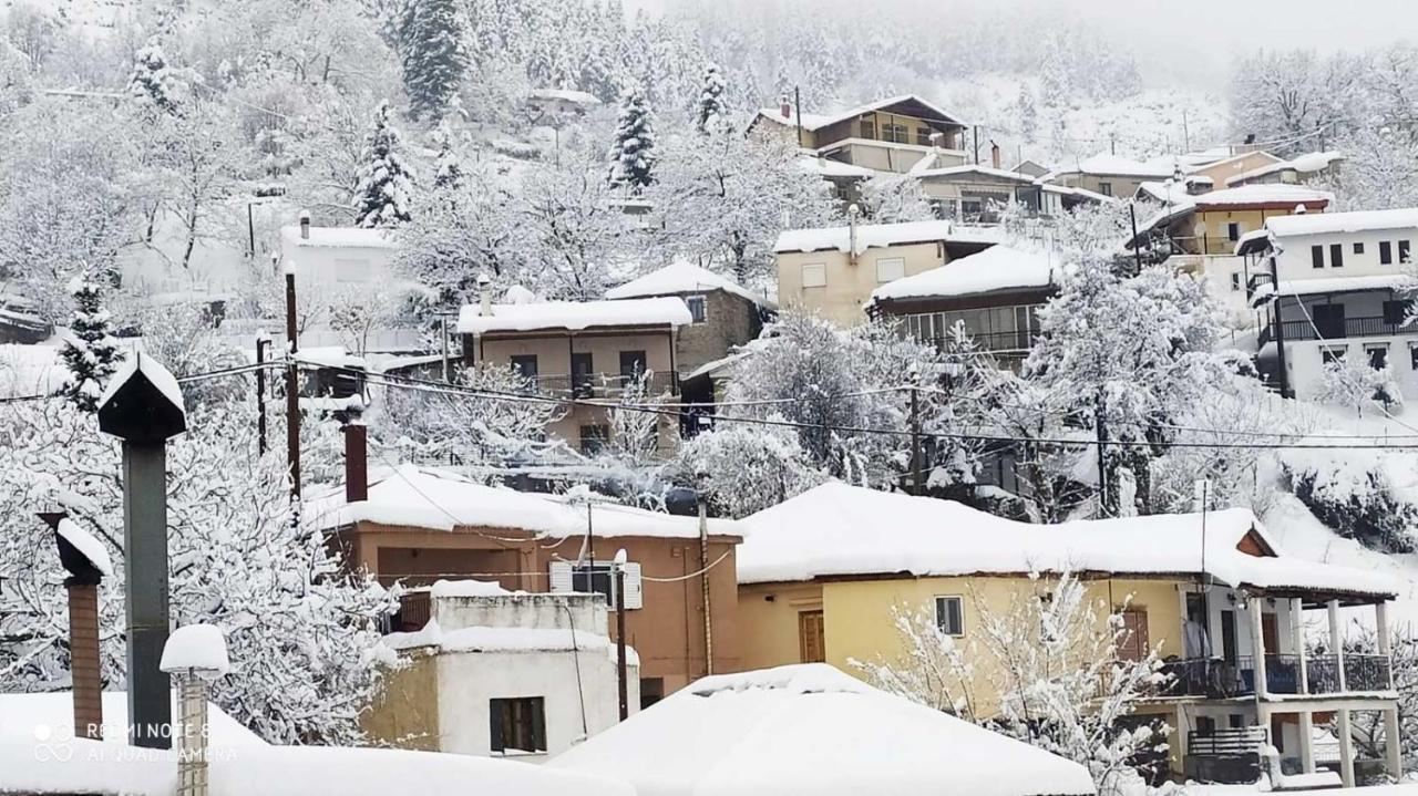 Elena'S Villa Chrysomiléa Esterno foto